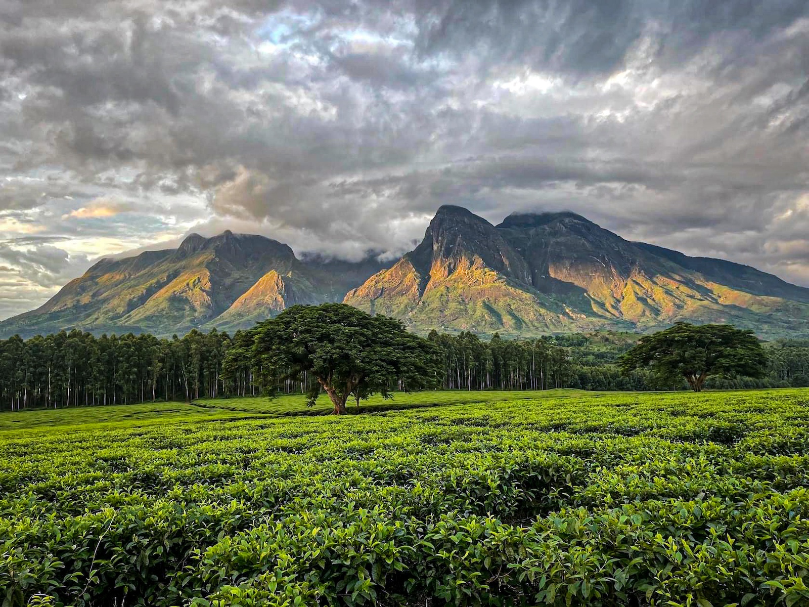 Mount Mulanje